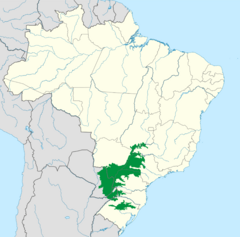 Alto Paraná Atlantic Forest.png