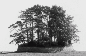 Asthall barrow (1895)