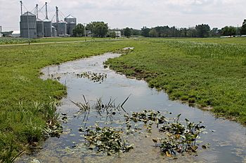 Beaver Run near Turbotville.JPG