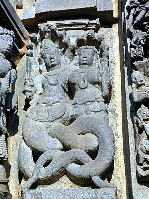 Belur si1023