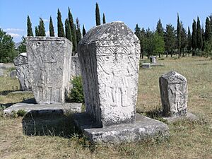 BiH, Radimlja necropolis 2