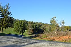 Buffalo Springs woods and fields