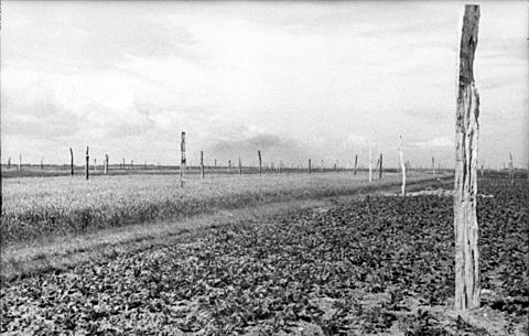 Bundesarchiv Bild 101I-582-2122-31, Frankreich, "Spargelfelder"