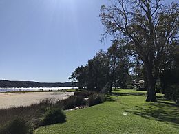 Careel Bay low tide