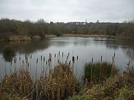 Carr Forge Dam