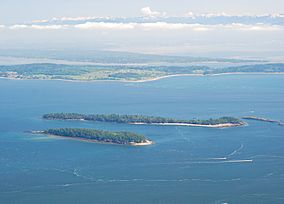 Clark Island viewed from Mount Constitution.jpg