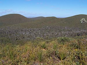 Die back valley gnangarra