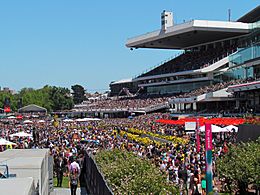 Flemington main stand, 2013 Melbourne Cup.jpg