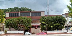 Building in Florida with flags out front