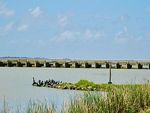 Goolwa Barrage