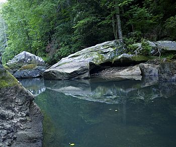 Green River, North Carolina.jpeg