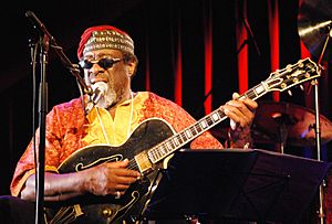 James Blood Ulmer ibk.JPG