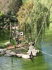 Jerusalem Zoo spider monkey.jpg