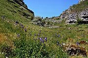 Lathkill Dale, Jacob's-ladder (1)