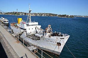 MV Cape Don.JPG