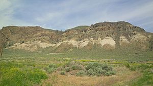 McAbee Fossil Beds, British Columbia