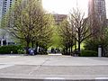 Mel Lastman Square Trees