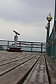 Name Plates, Clevedon Pier boards