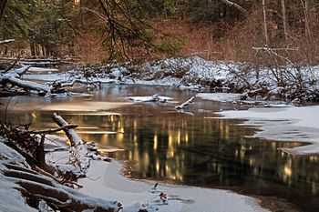 Nescopeck Creek.jpg