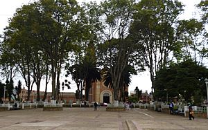 Central square of Mosquera