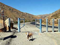 Piru-Creek-Golden-State-Highway