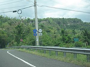 Sign for PR-4111 to Piedras Blancas