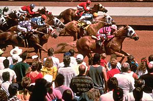 Racing at Ruidoso Downs