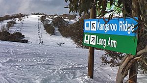 Selwyn Snowfields July 2011