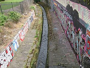 Sheepscar Beck 03 June 2017