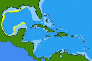 Squatina mexicana range.png