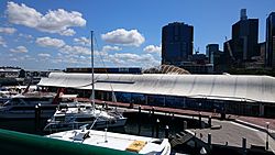 Sydney Aquarium Sea Life.jpg