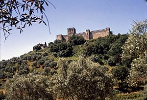 Tomar-Castelo dos Templários-19670802.jpg