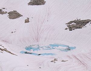 Watermelon snow streaks 3