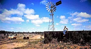 Windmill in far western NSW