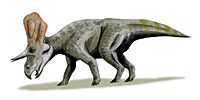 Zuniceratops BW.jpg