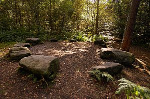 'Druid's Circle' The Edge, Alderley Edge - geograph.org.uk - 43508