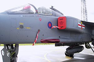 41 Sqn Jaguar 01APR06