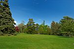 Bayard cutting arboretum.jpg