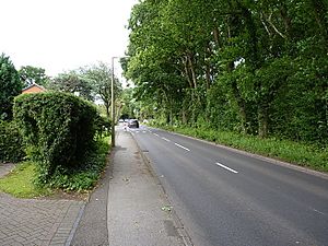 Bills Lane alongside Bills Wood (geograph 5435208).jpg