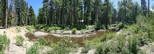 Blackwood Creek (California) pano.jpg