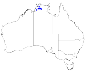 Boronia decumbens DistMap30.png