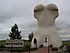 Giant Bunnock (horse's leg bone) in Macklin SK. Summer 2004