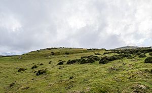 Caer Bach Defensive Ditch