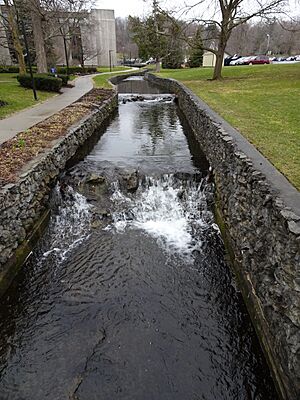 Clifton Springs NY mineral stream