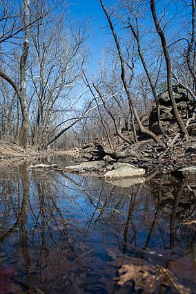 Cross Timbers State Park.jpg