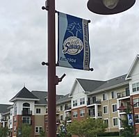 Dan Patch Banners Savage MN