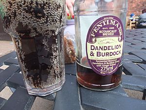 Dandelion and burdock.jpg