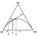 De finetti diagram