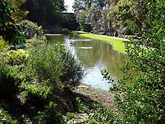 Eltham Palace moat