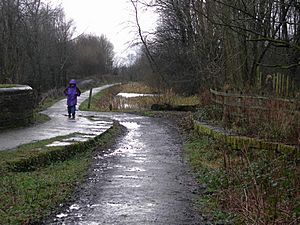 Fairbottom Branch